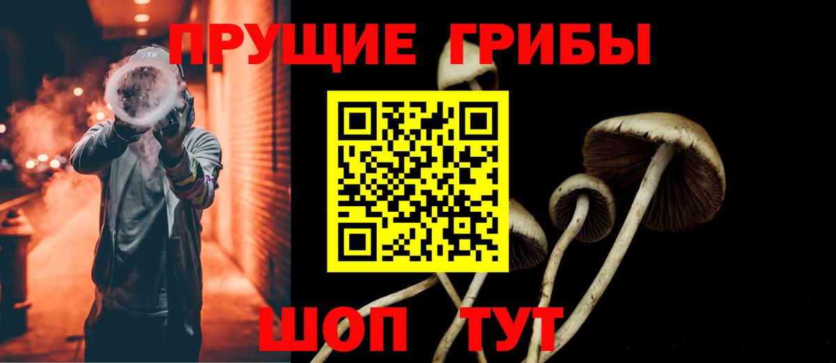 Галлюциногенные грибы прущие грибы Заводоуковск